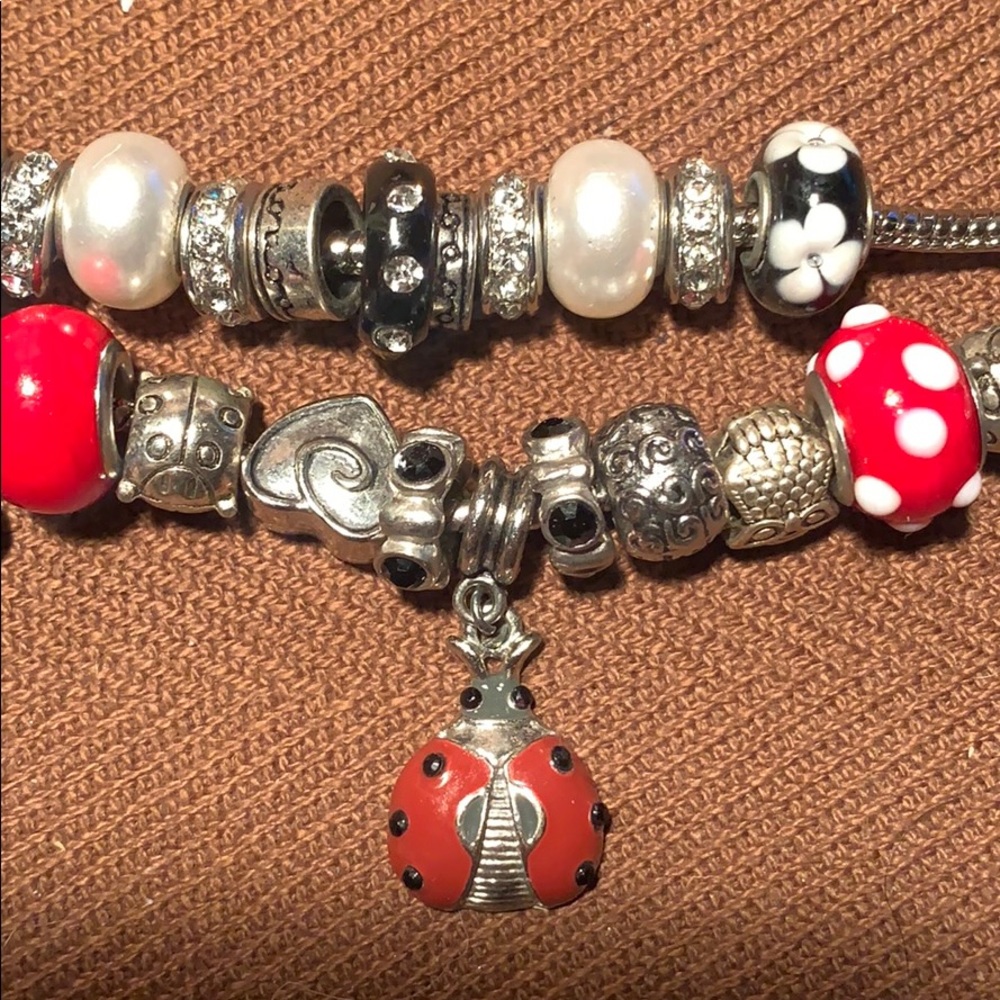 Bundle of 2 Bracelets/31individual beads (2stoppr)